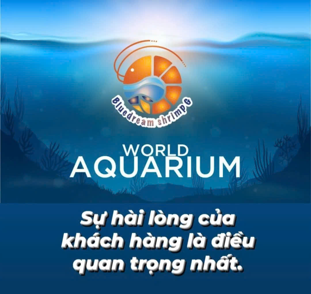 TRANG CHỦ CÁC SÀN THỦY SINH