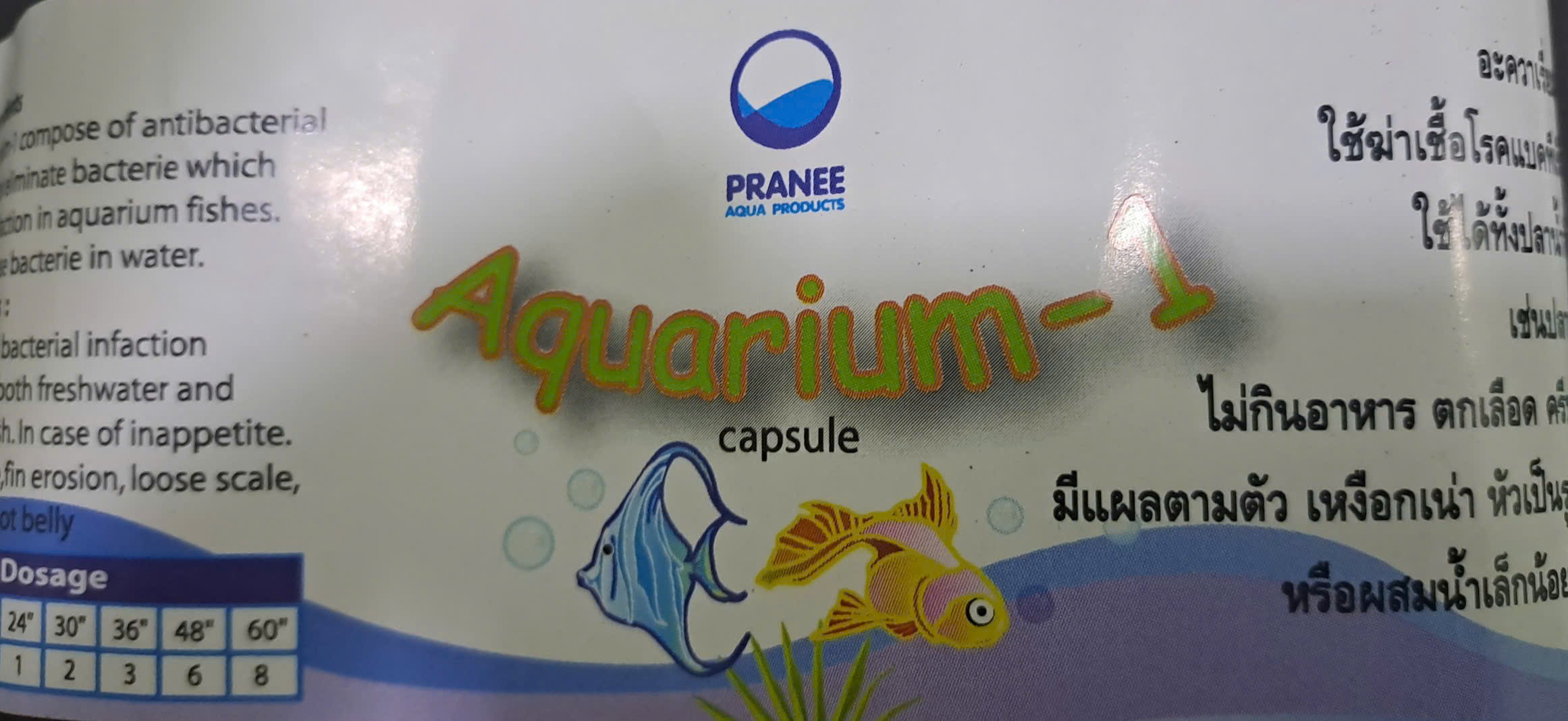 THUÓC AQURIUM 1